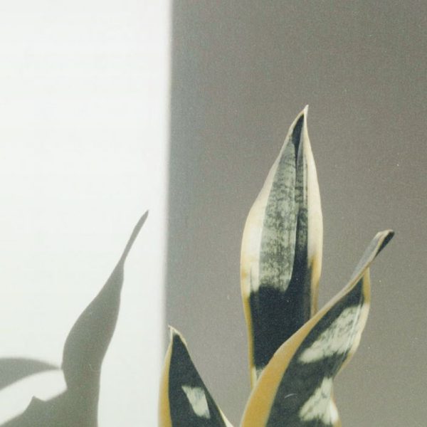 Glow Up vs Personal Growth: Why Becoming Is Painful (and Worth It!)