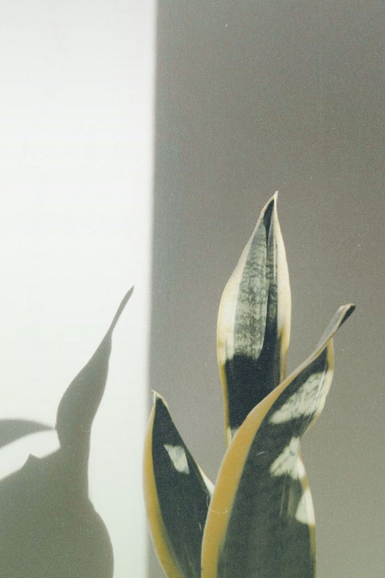 Glow Up vs Personal Growth: Why Becoming Is Painful (and Worth It!)